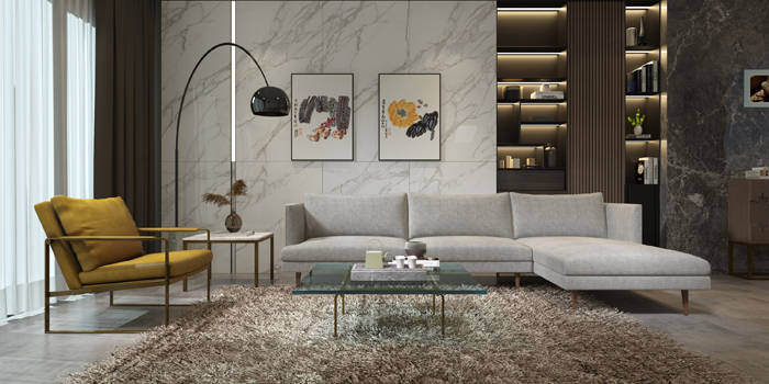 Modern minimalist style furniture